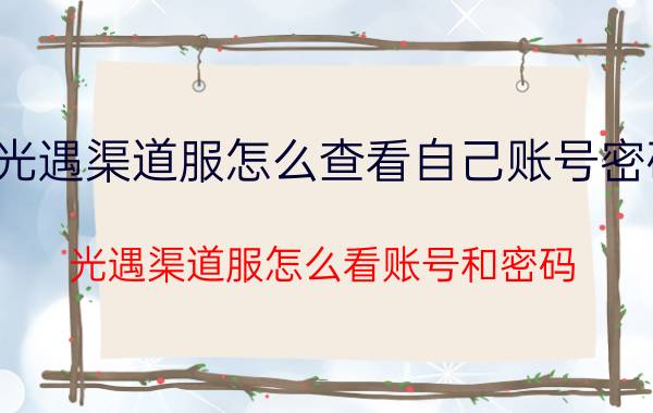 光遇渠道服怎么查看自己账号密码 光遇渠道服怎么看账号和密码？